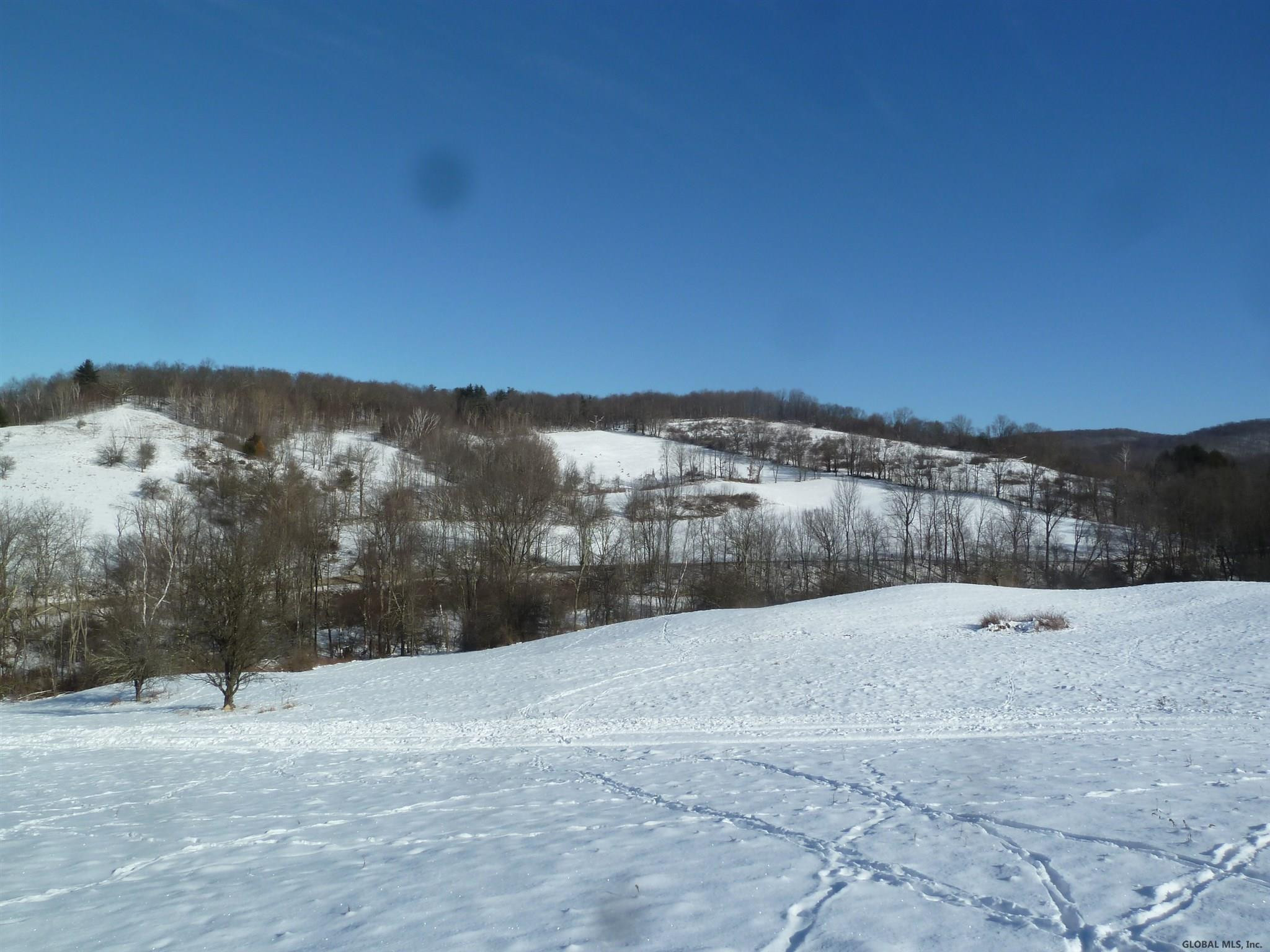0 Sheldon Road Granville, NY 12832 - Photo 11 of 38 Photo 11