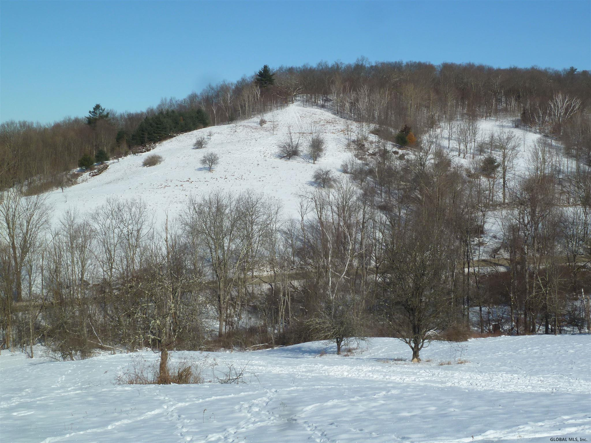 0 Sheldon Road Granville, NY 12832 - Photo 12 of 38 Photo 12