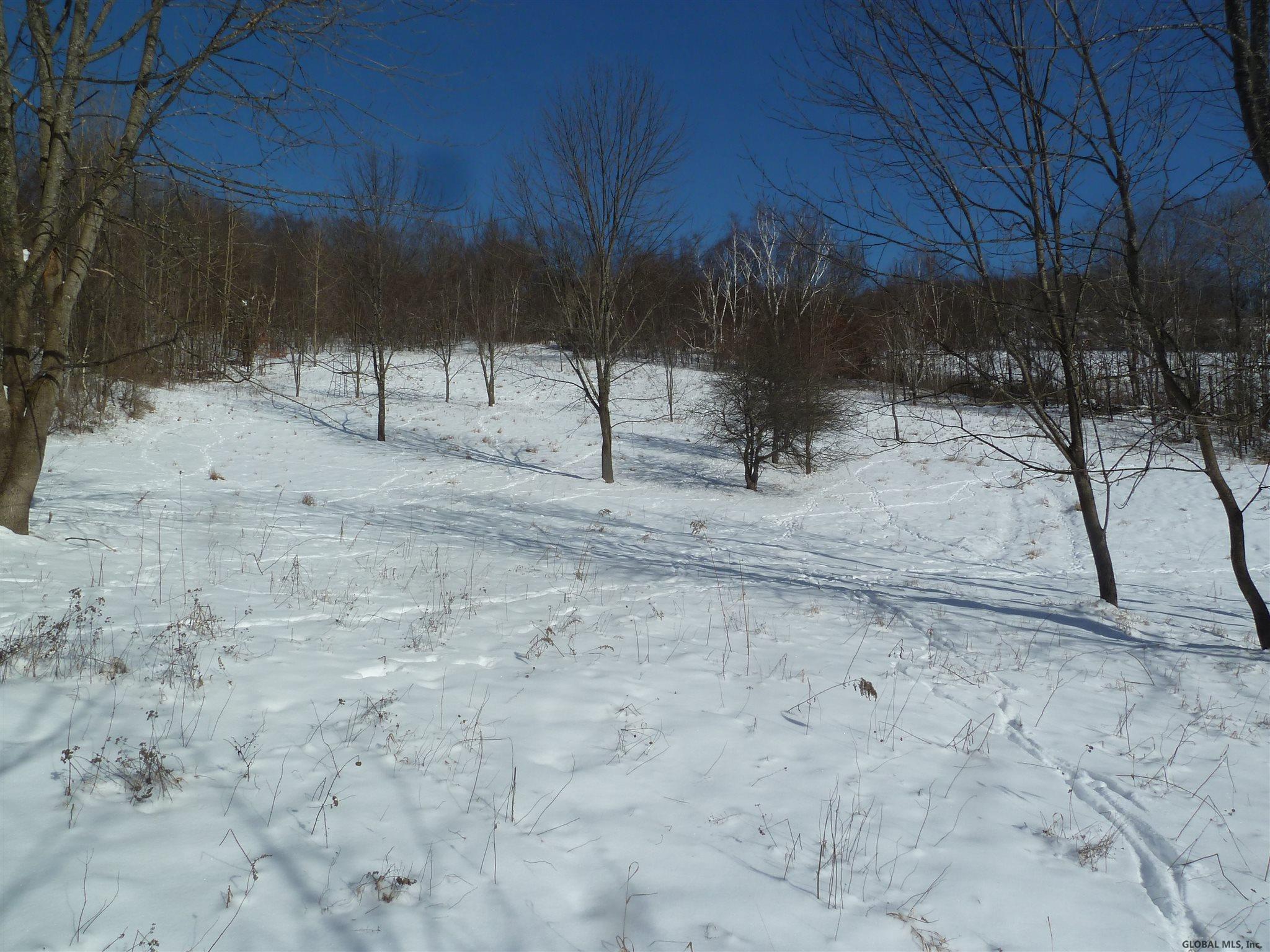 0 Sheldon Road Granville, NY 12832 - Photo 23 of 38 Photo 23