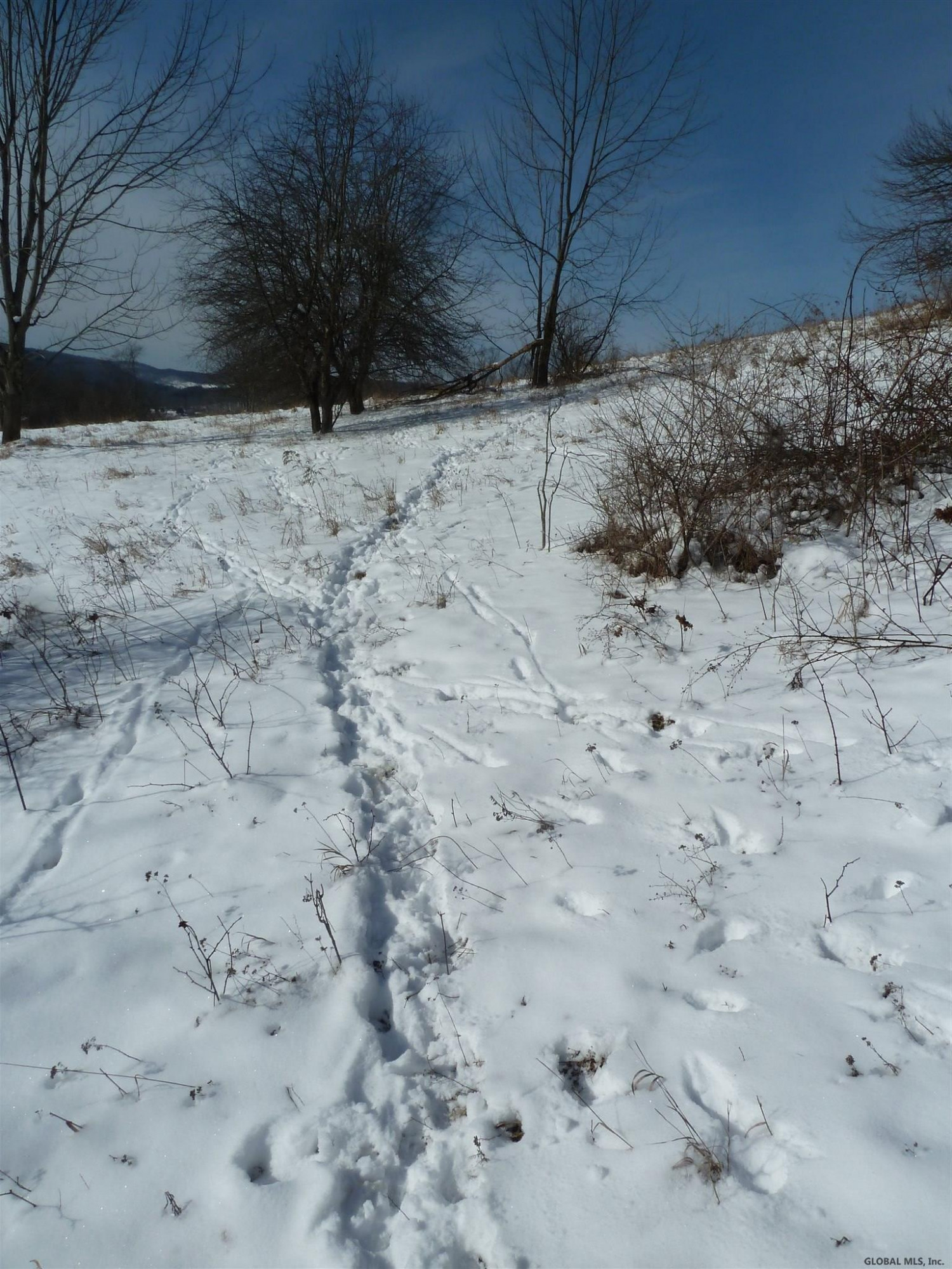 0 Sheldon Road Granville, NY 12832 - Photo 24 of 38 Photo 24