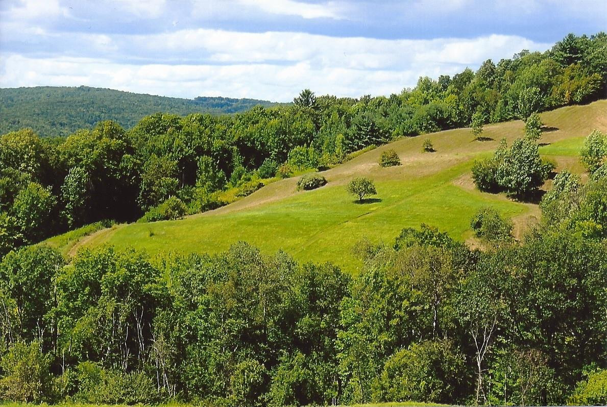 0 Sheldon Road Granville, NY 12832 - Photo 27 of 38 Photo 27