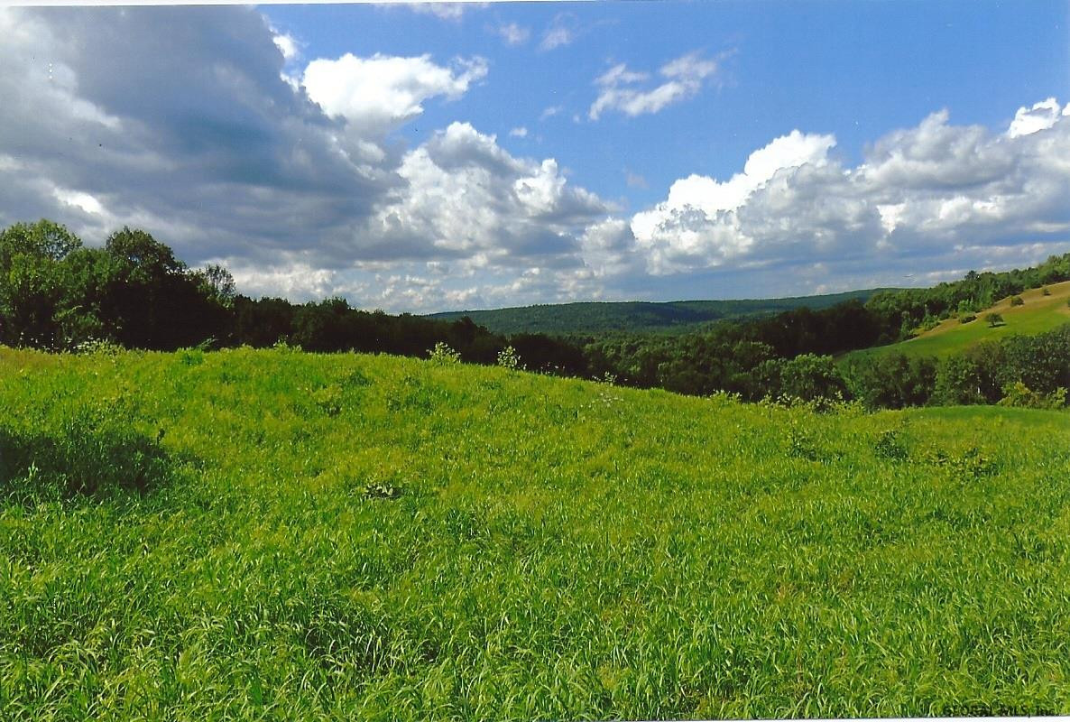 0 Sheldon Road Granville, NY 12832 - Photo 31 of 38 Photo 31