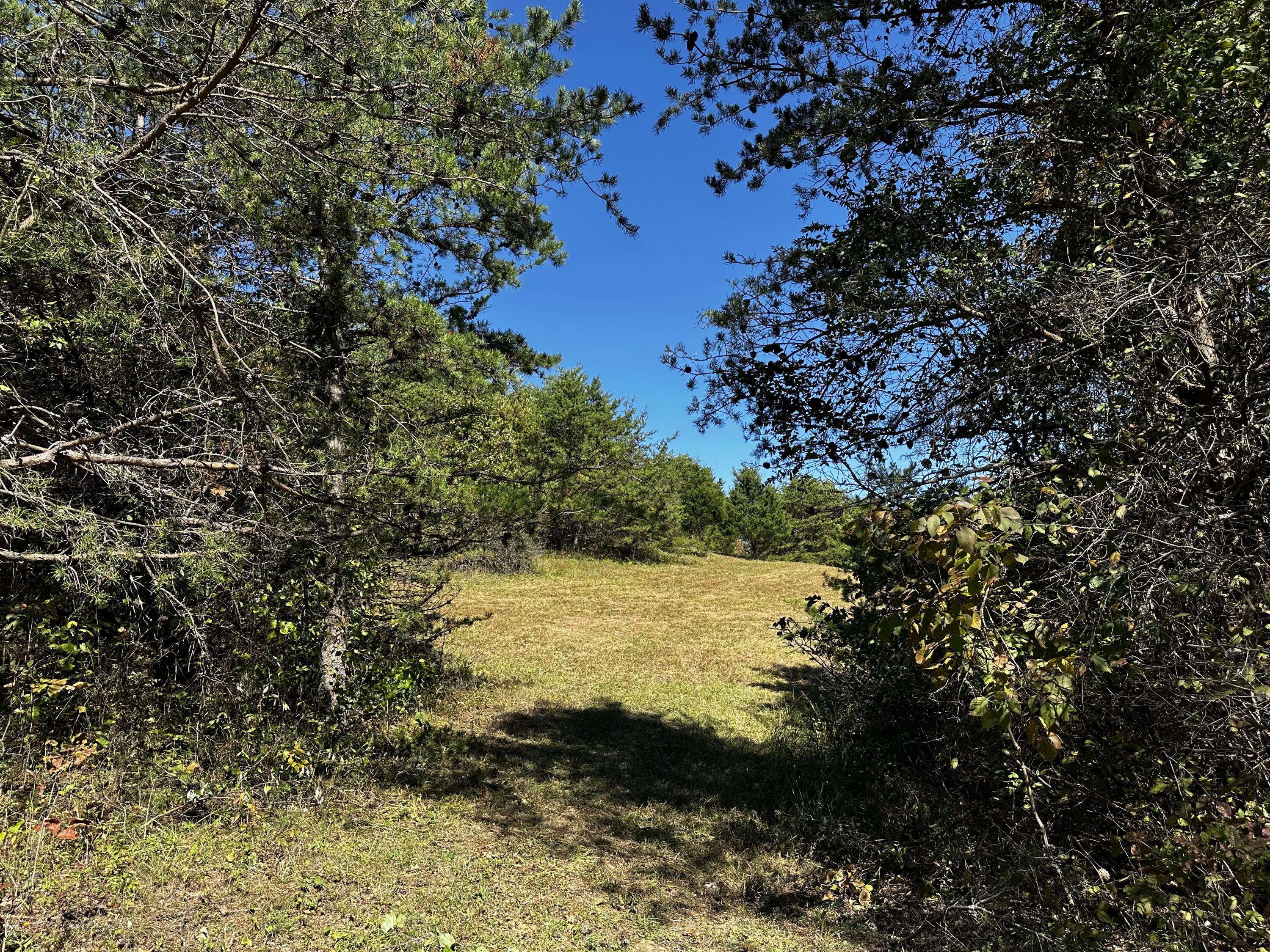 865 Hull Road, Unit TRACT 13 WOODS WAYNE FOREST) Patriot, OH 45658 - Photo 19 of 57 20241008_174923978_iOS