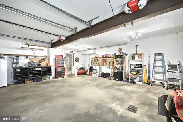 a view of a lush green forest