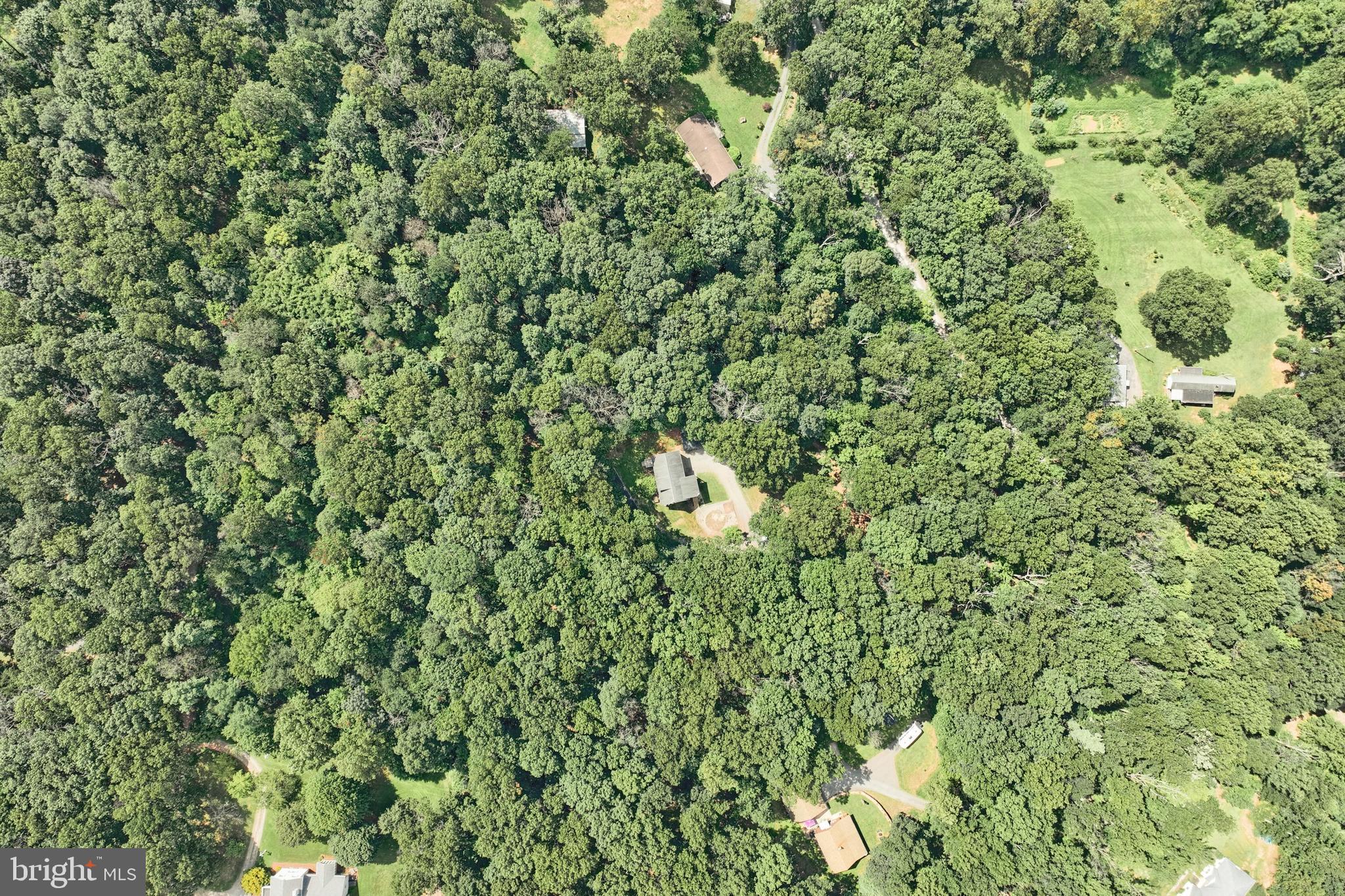 6031 Mountain Road Dover, PA 17315 - Photo 42 of 47 a view of a lush green forest