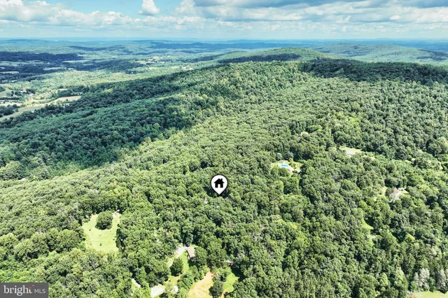 a view of a garden with an outdoor space