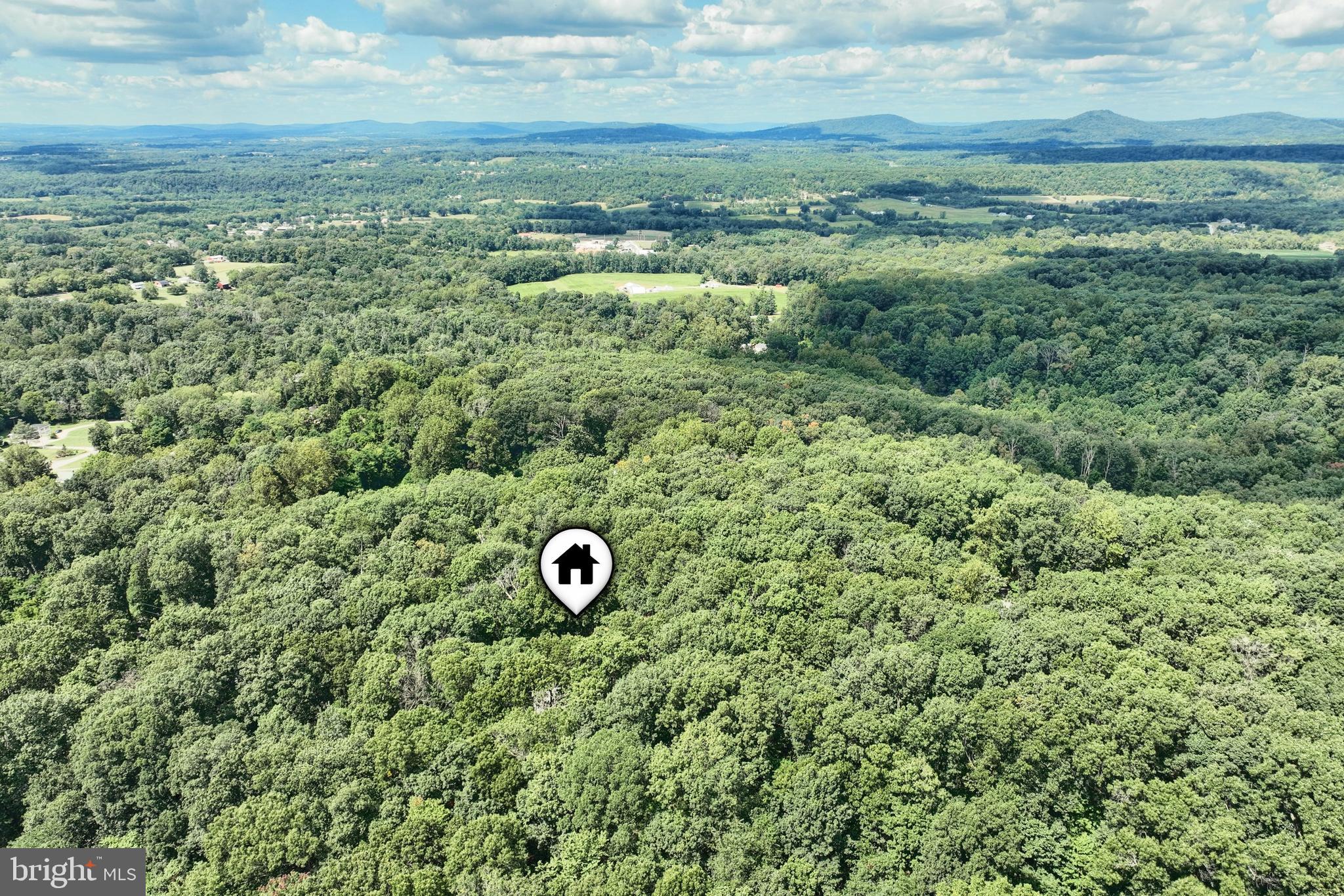 6031 Mountain Road Dover, PA 17315 - Photo 47 of 47 a view of a trees in a yard