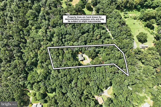 a view of outdoor space with trees all around