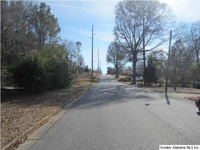 703 South Spring Street Talladega, AL 35160 - Photo 8 of 22