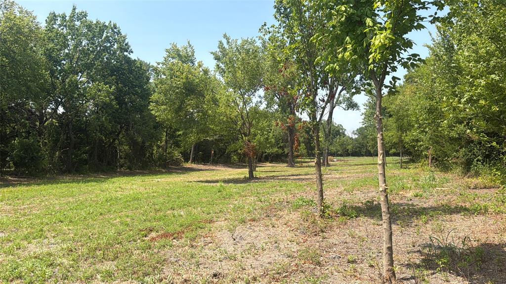 902 East Fm 902 Howe, TX 75459 - Photo 7 of 8 Gallery Image 7