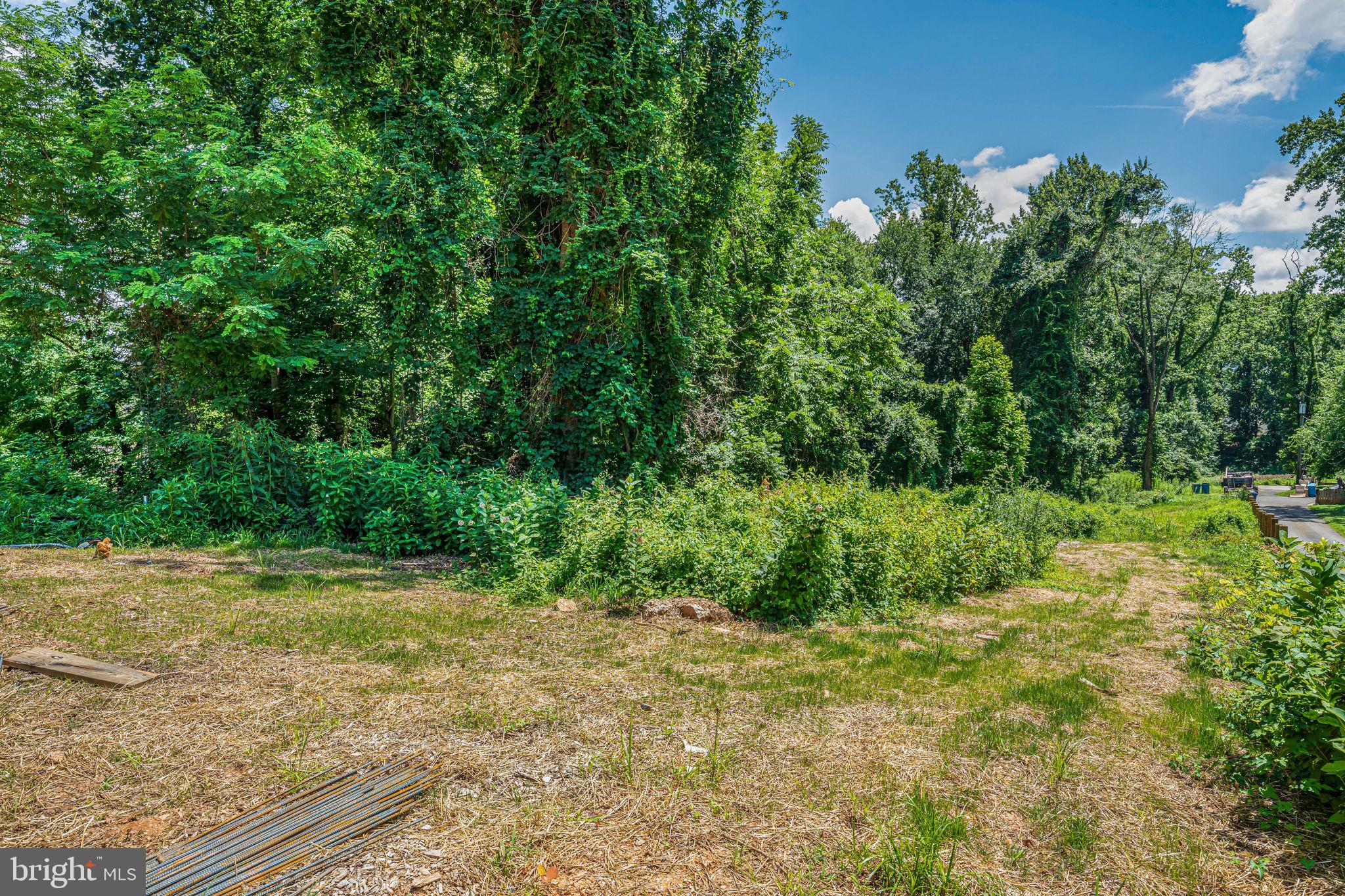 7701 Lewinsville Road McLean, VA 22102 - Photo 2 of 6 a view of a yard with plants and large trees