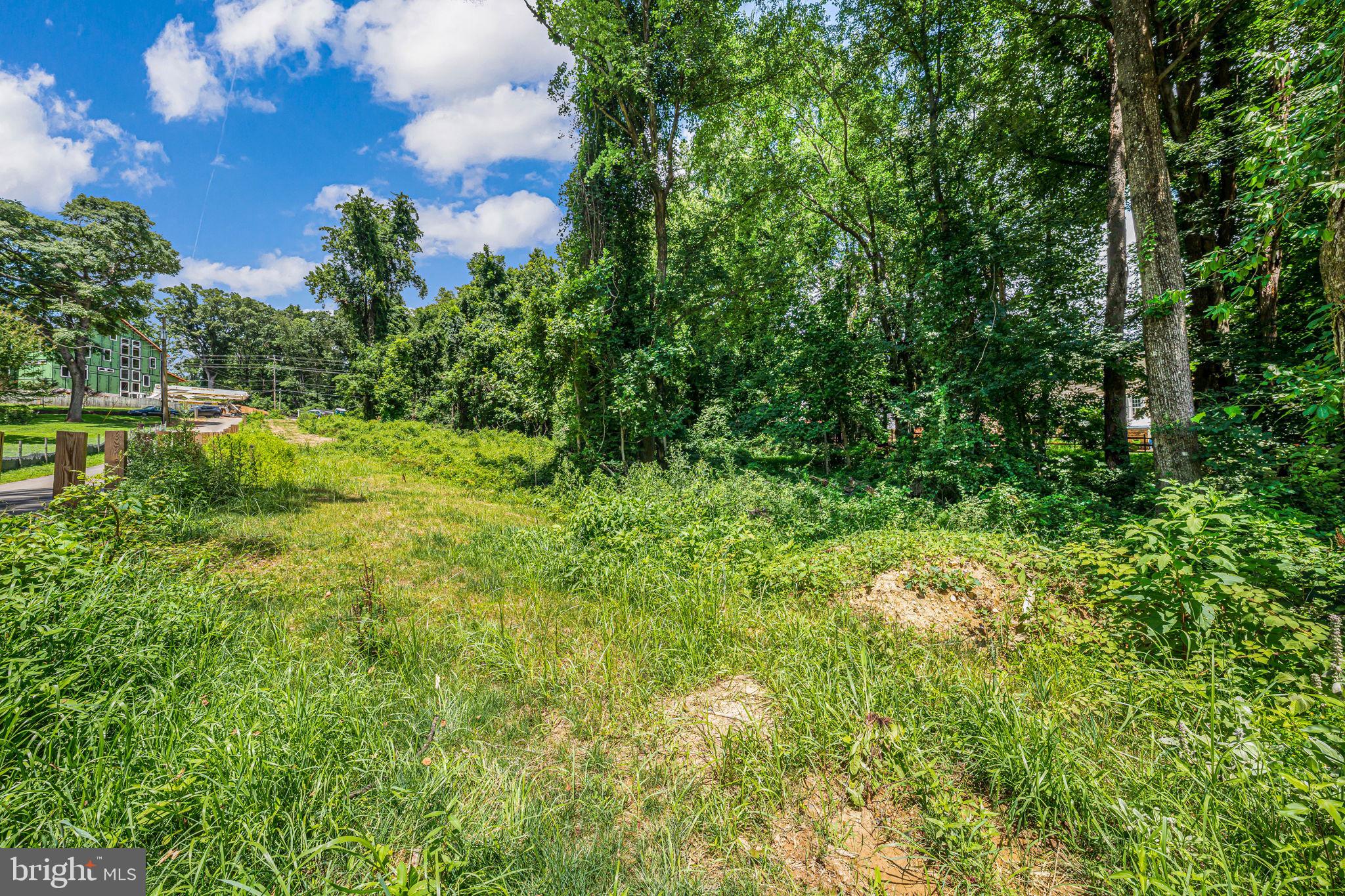 7701 Lewinsville Road McLean, VA 22102 - Photo 3 of 6 a view of a garden