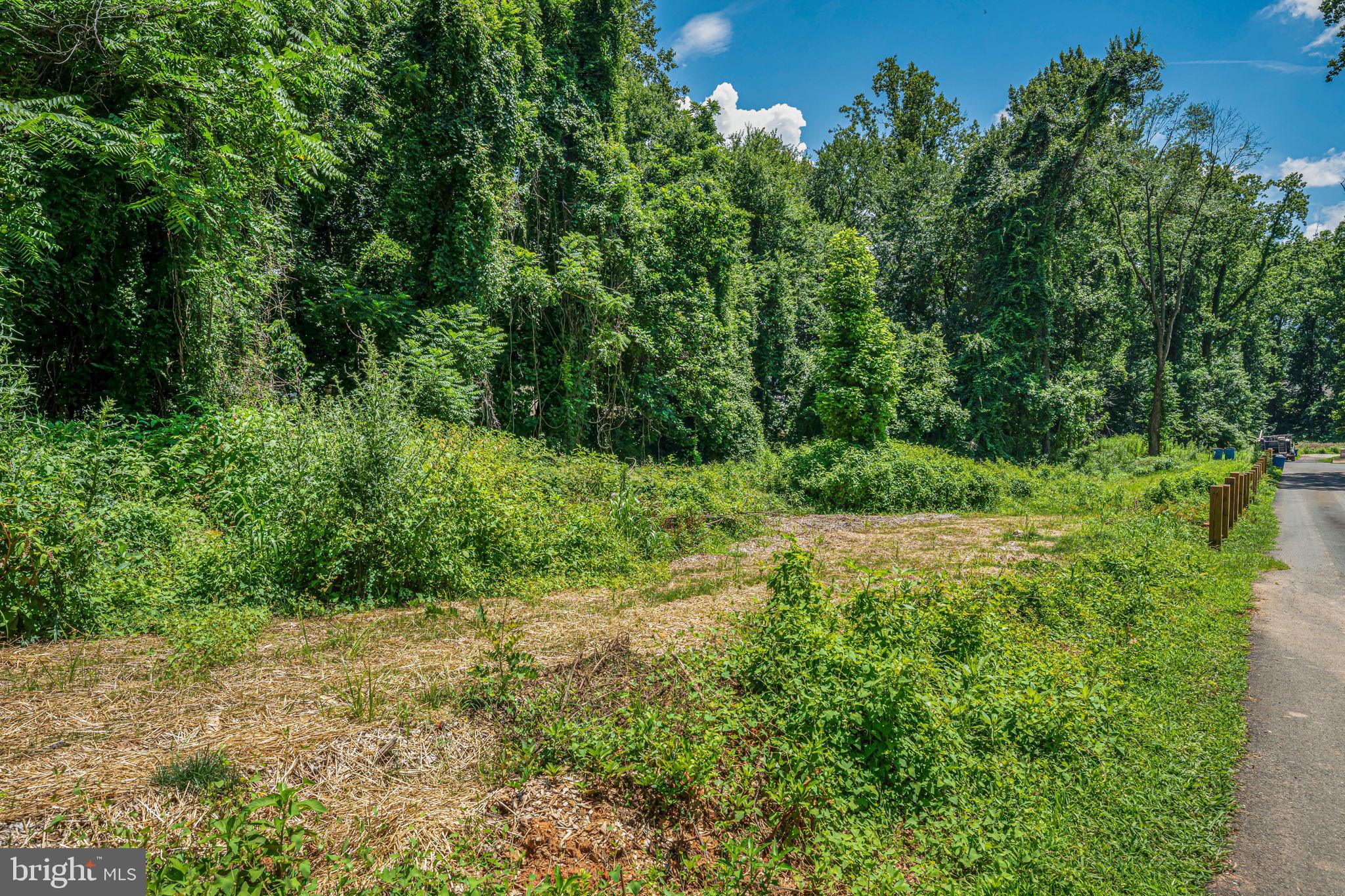 7701 Lewinsville Road McLean, VA 22102 - Photo 4 of 6 a view of a garden with a building