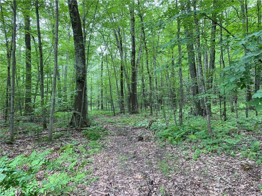 41 Rabbit Hill Road Washington, CT 06777 - Photo 1 of 1