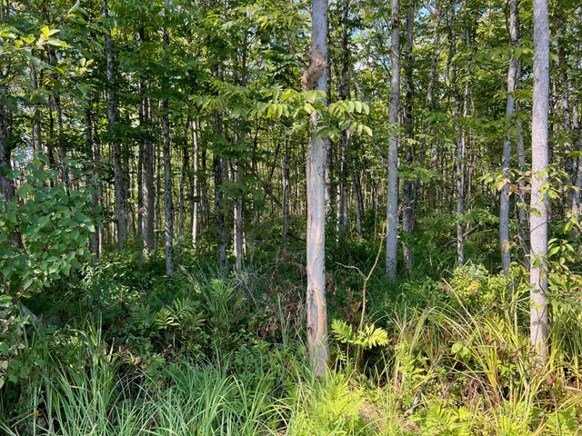 $48,900 | 1 Map Road, Garland, ME 04939