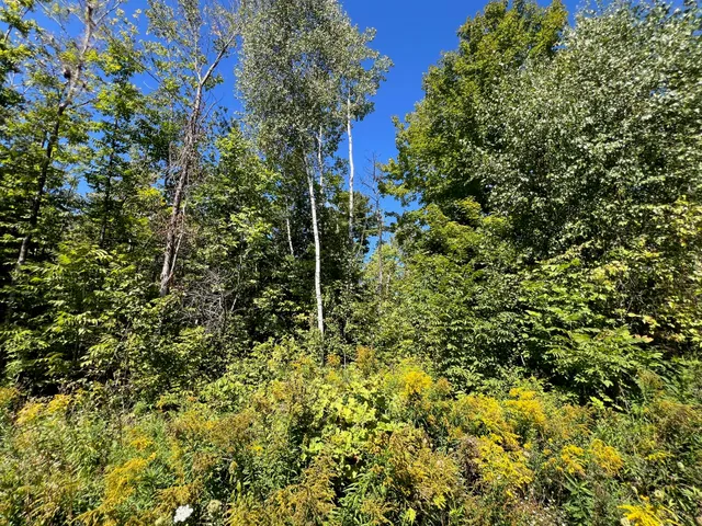 $48,900 | 1 Map Road, Garland, ME 04939