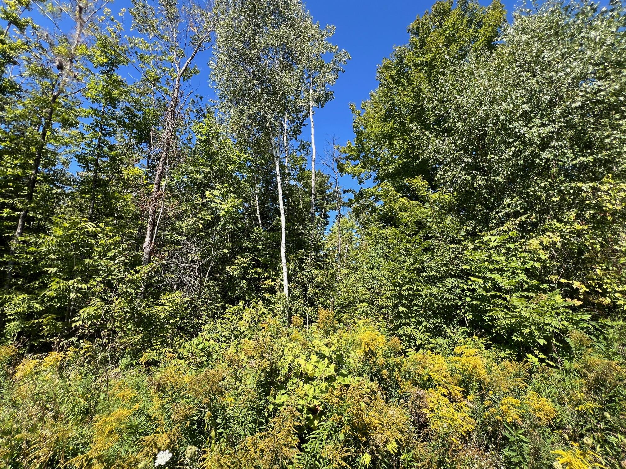 1 Map Road Garland, ME 04939 - Photo 6 of 10 6