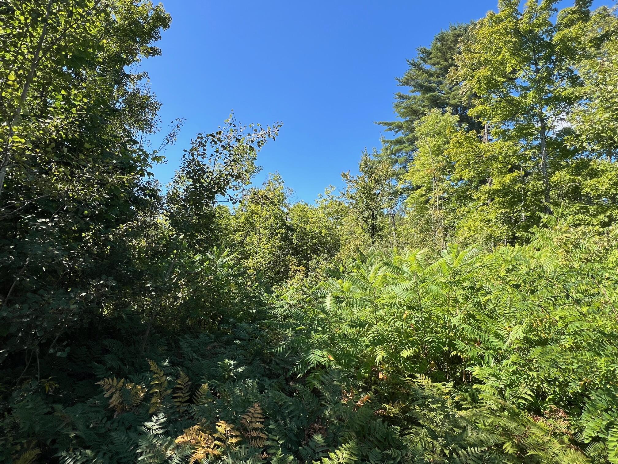 1 Map Road Garland, ME 04939 - Photo 7 of 10 7