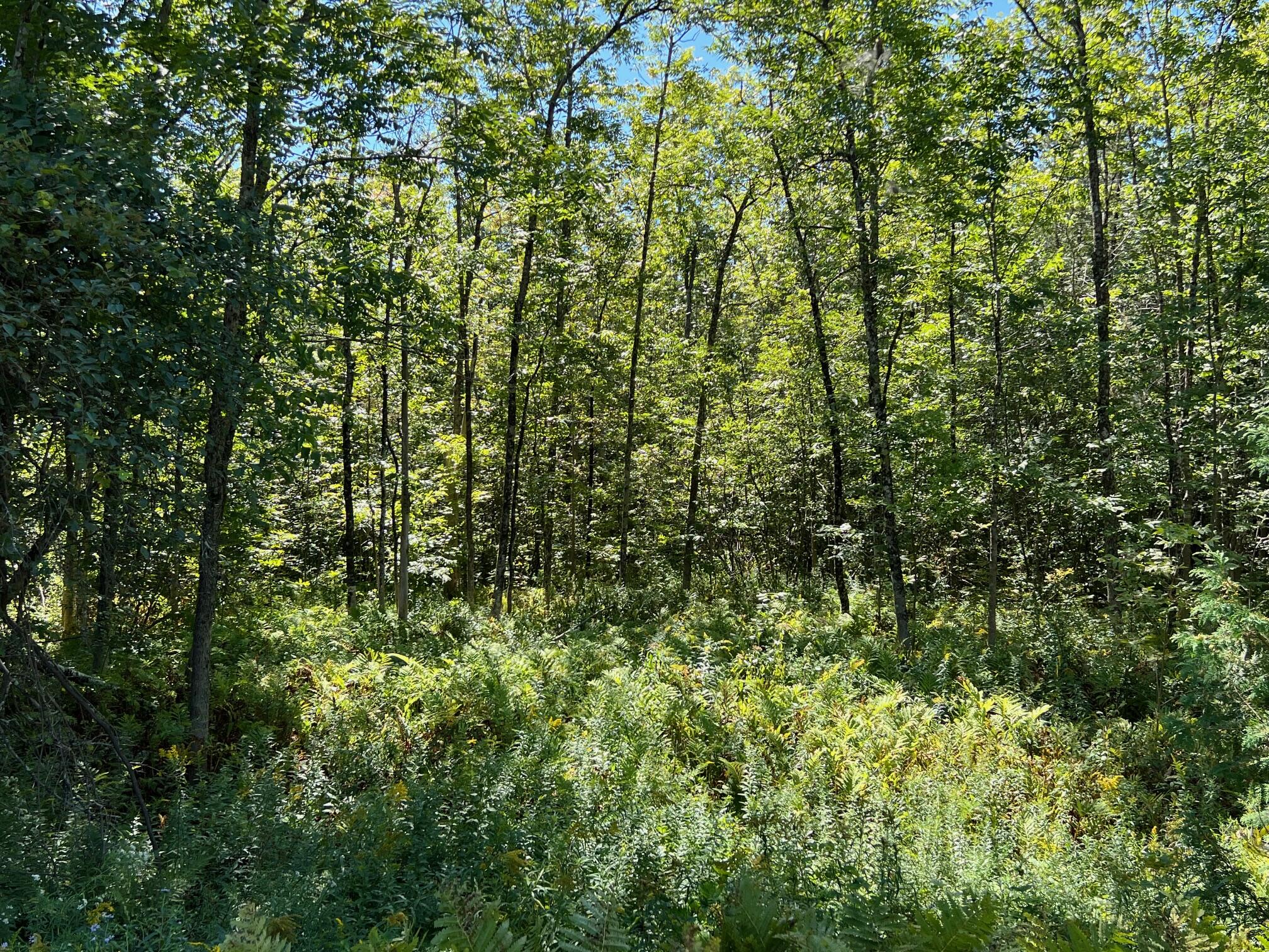 1 Map Road Garland, ME 04939 - Photo 8 of 10 8