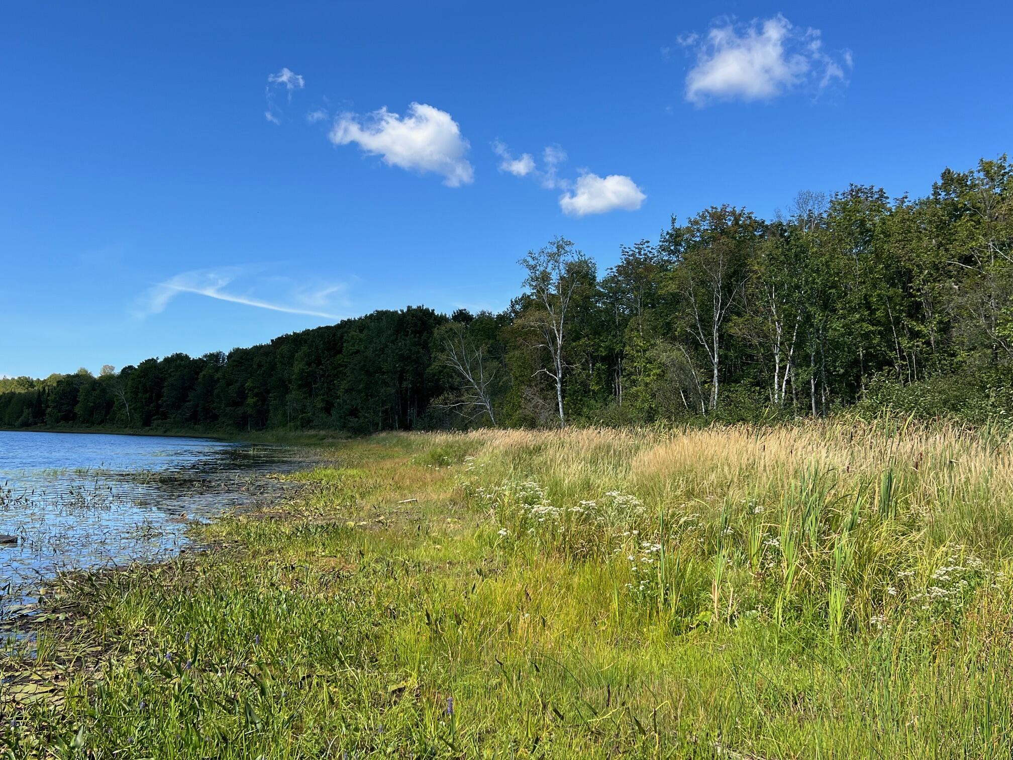 1 Map Road Garland, ME 04939 - Photo 10 of 10 10