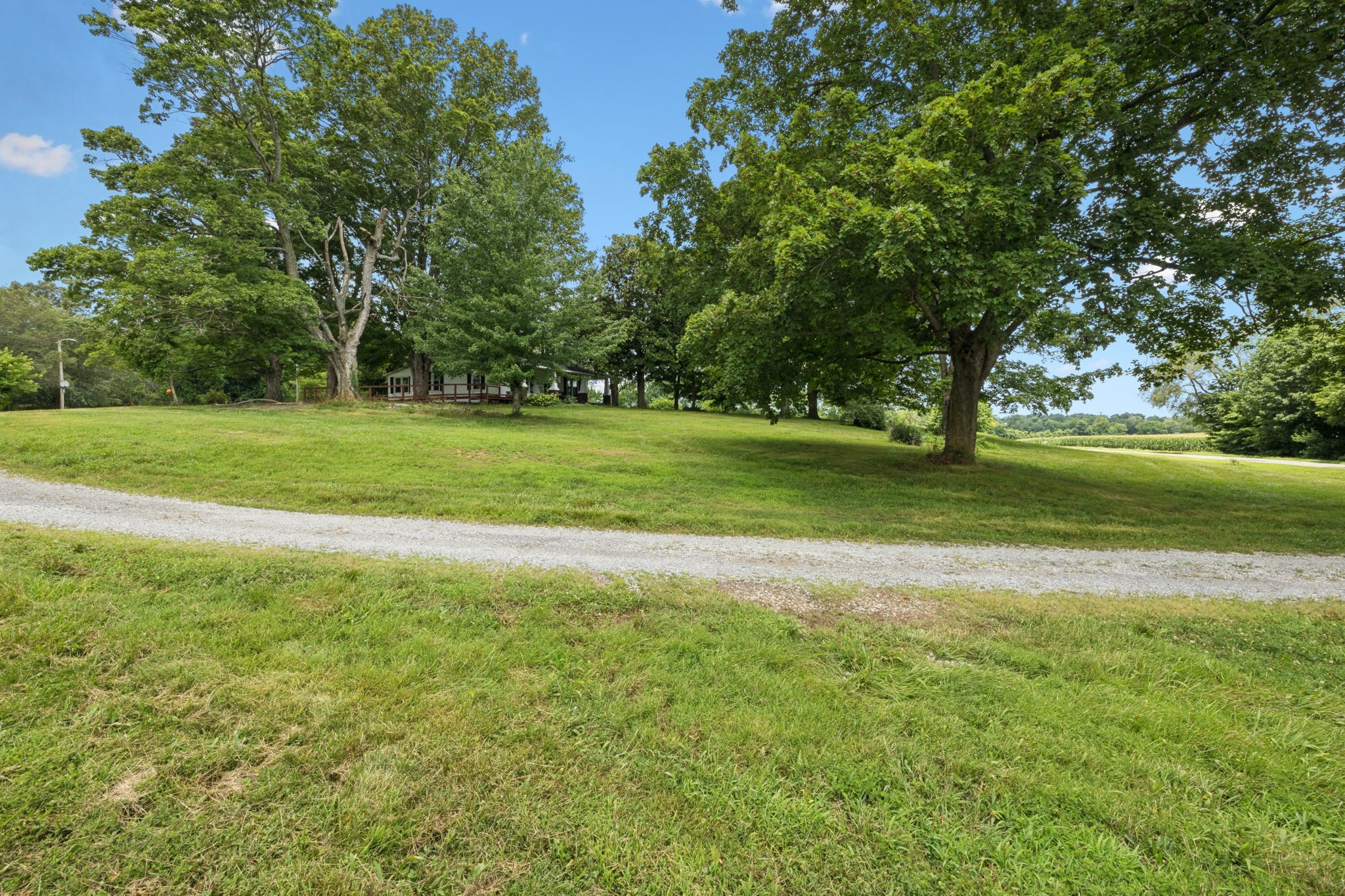 350 Port Royal Road Clarksville, TN 37040 - Photo 12 of 19 a view of a big yard with a large trees