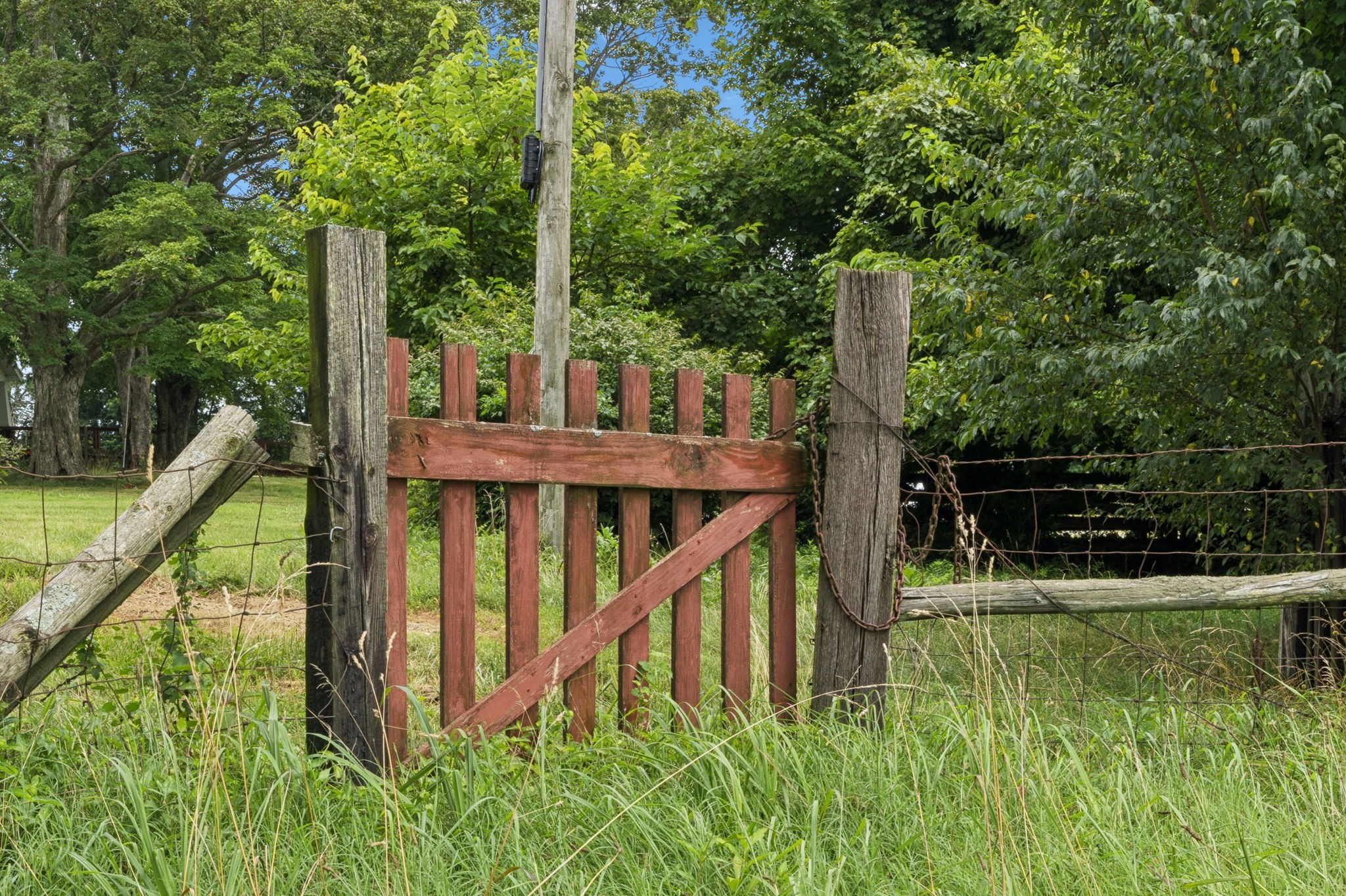 350 Port Royal Road Clarksville, TN 37040 - Photo 18 of 19 a view of house with a small yard and large trees