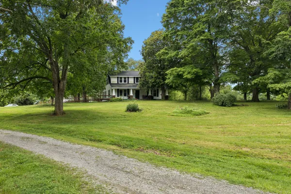 a view of a park with large trees