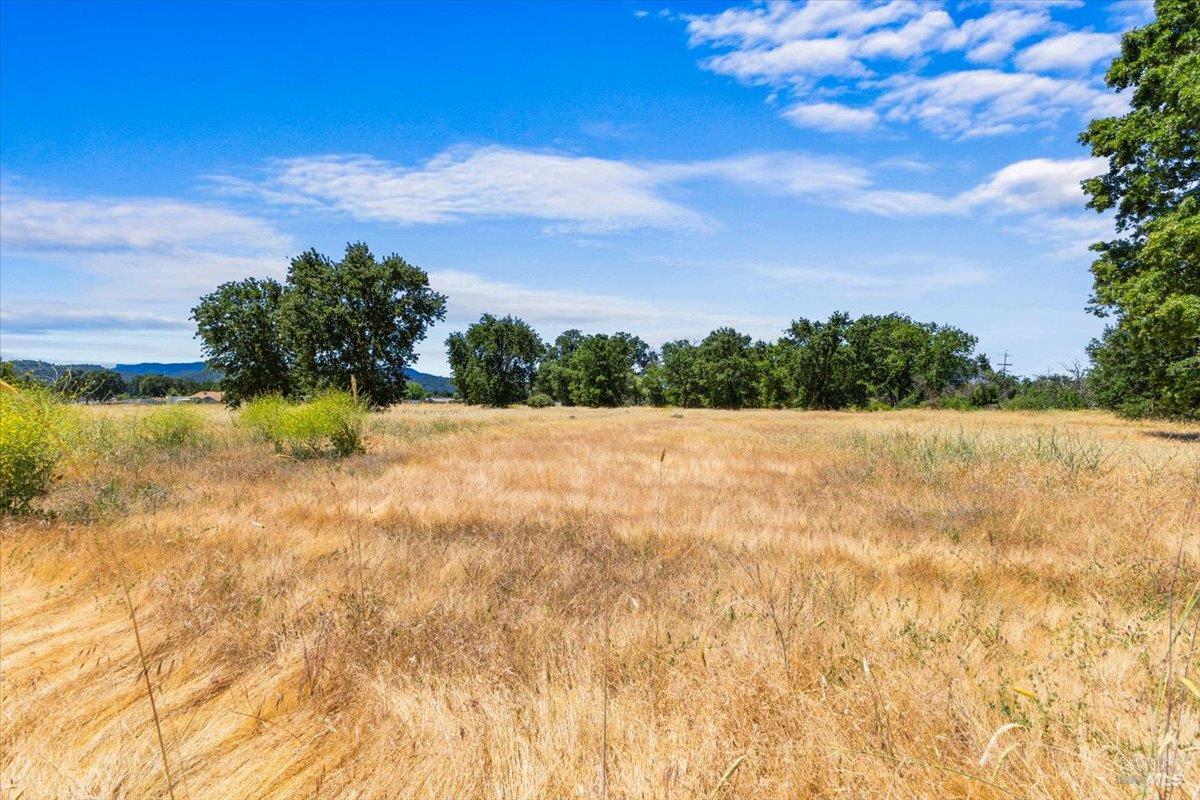 14775 Burns Valley Road Clearlake, CA 95422 - Photo 8 of 15