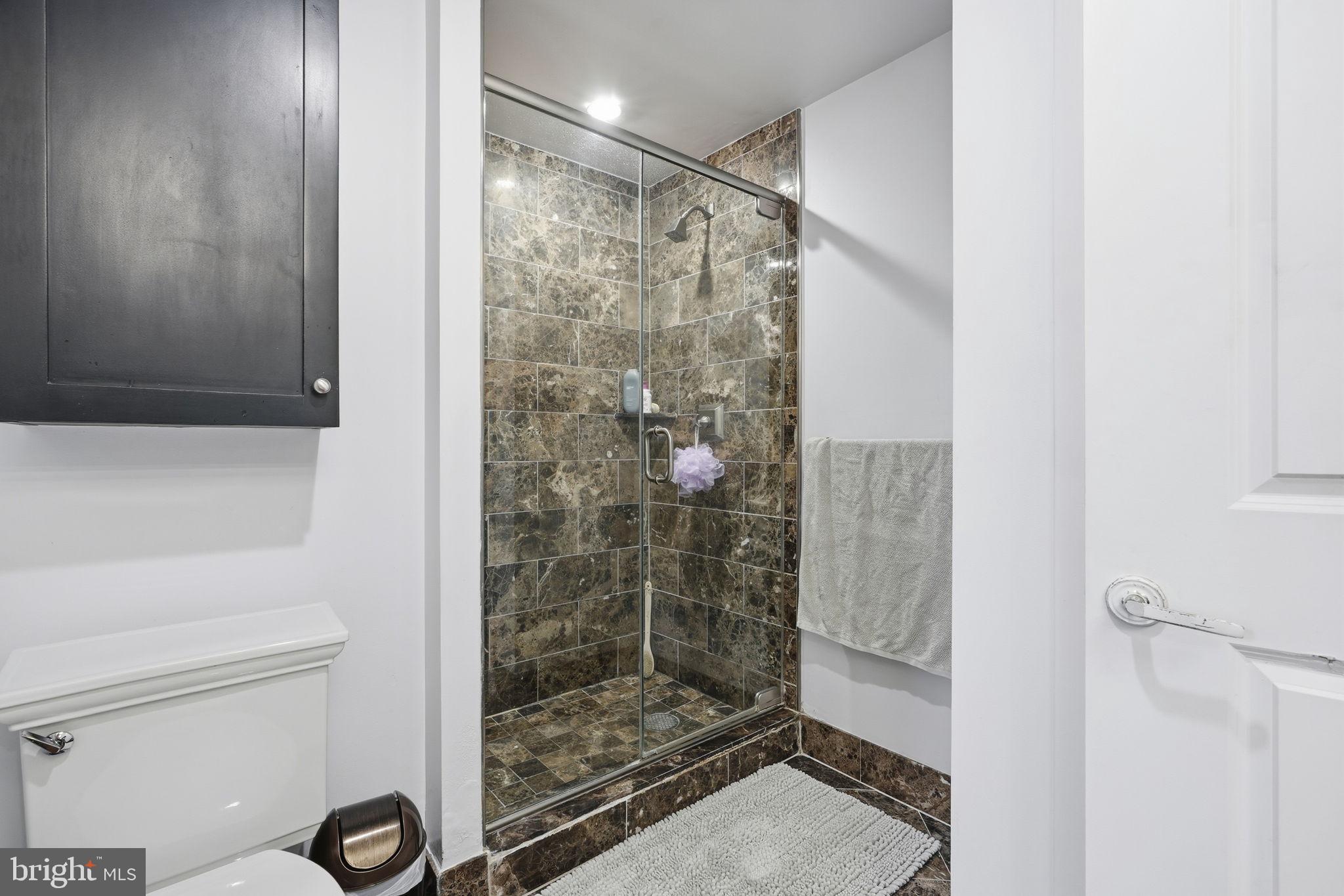 4301 Military Road Northwest, Unit 306 Washington, DC 20015 - Photo 20 of 22 Bath 2