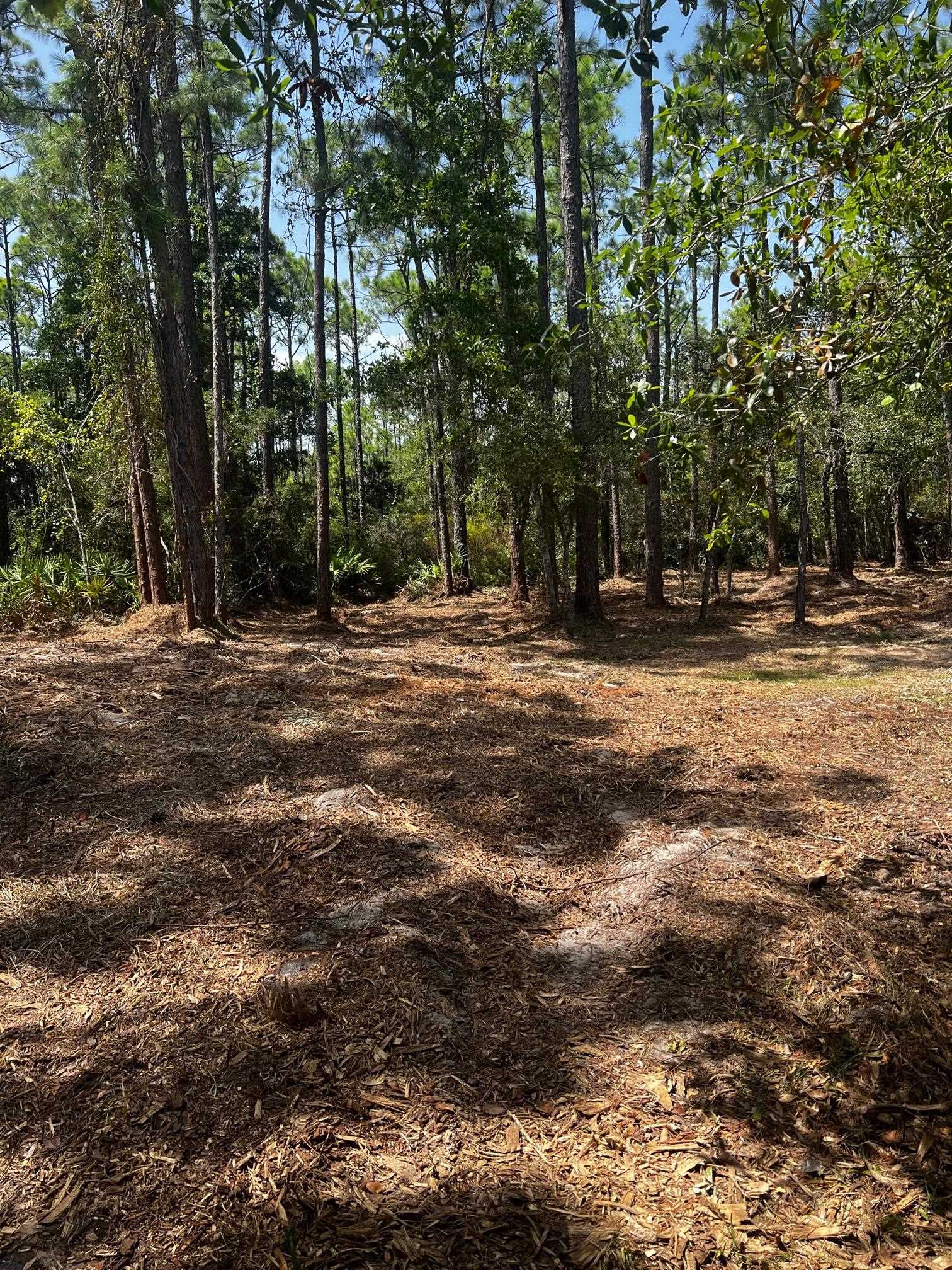 West Oak Ridge Drive Orange Beach, AL 36561 - Photo 4 of 5