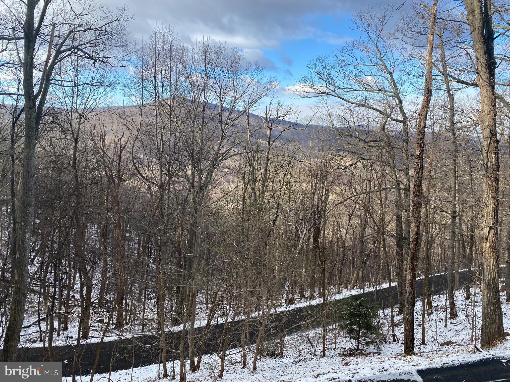 1157 Granny Smith Road Linden, VA 22642 - Photo 3 of 44 The homes elevation allows spectacular views!!