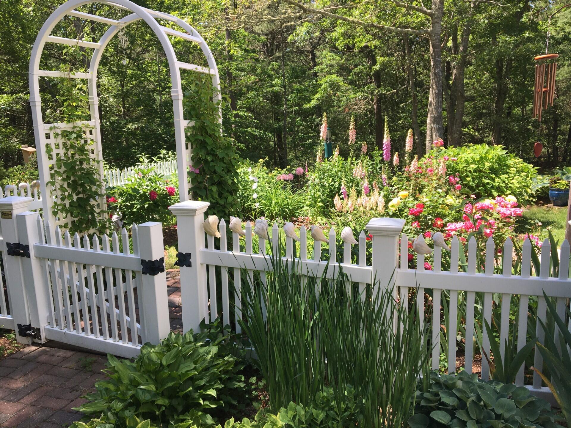 97 Roosevelt Road Cotuit, MA 02635 - Photo 56 of 65 Back yard 3