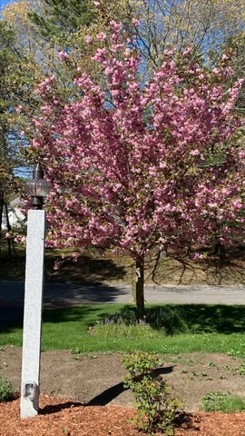 $842,500 | 97 Roosevelt Road, Cotuit, MA 02635