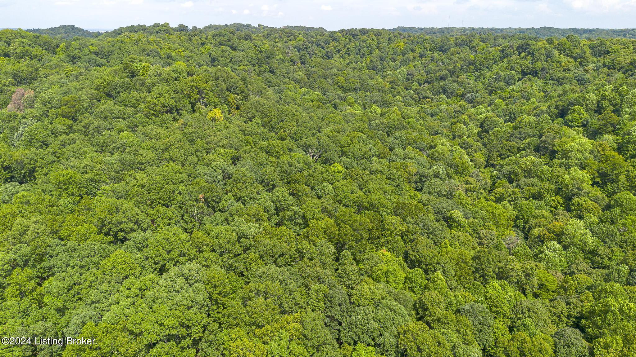 12901 Saw Mill Road Louisville, KY 40272 - Photo 55 of 58 12901_SawMillRd_40272_0914
