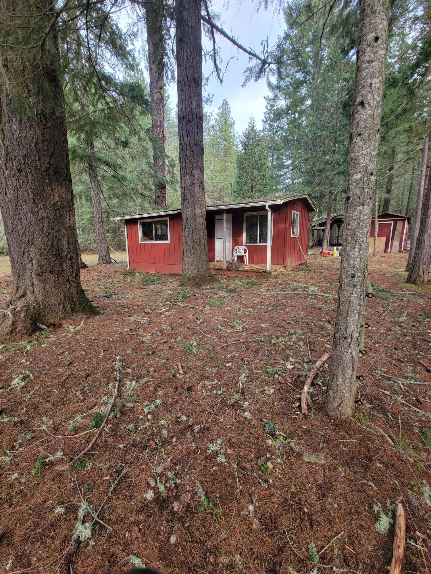 4154 Deer Creek Road Selma, OR 97538 - Photo 4 of 45 20220120_093407