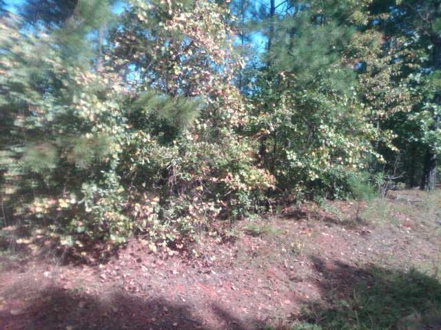 0 Gober Road, Unit O Bishop, GA 30621 - Photo 1 of 1
