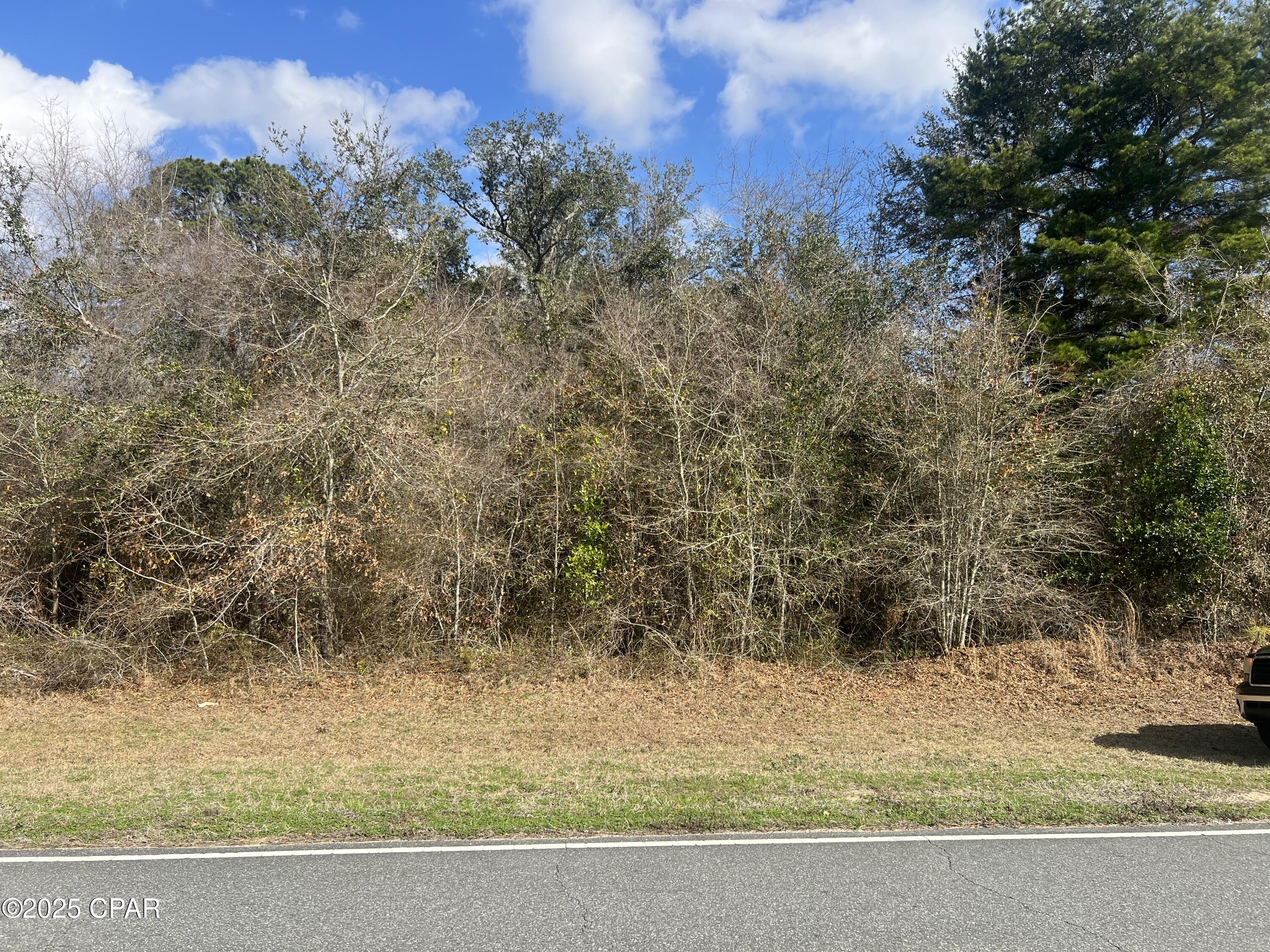 0 Salem Church Road Grand Ridge, FL 32442 - Photo 2 of 3 Gallery Image 2