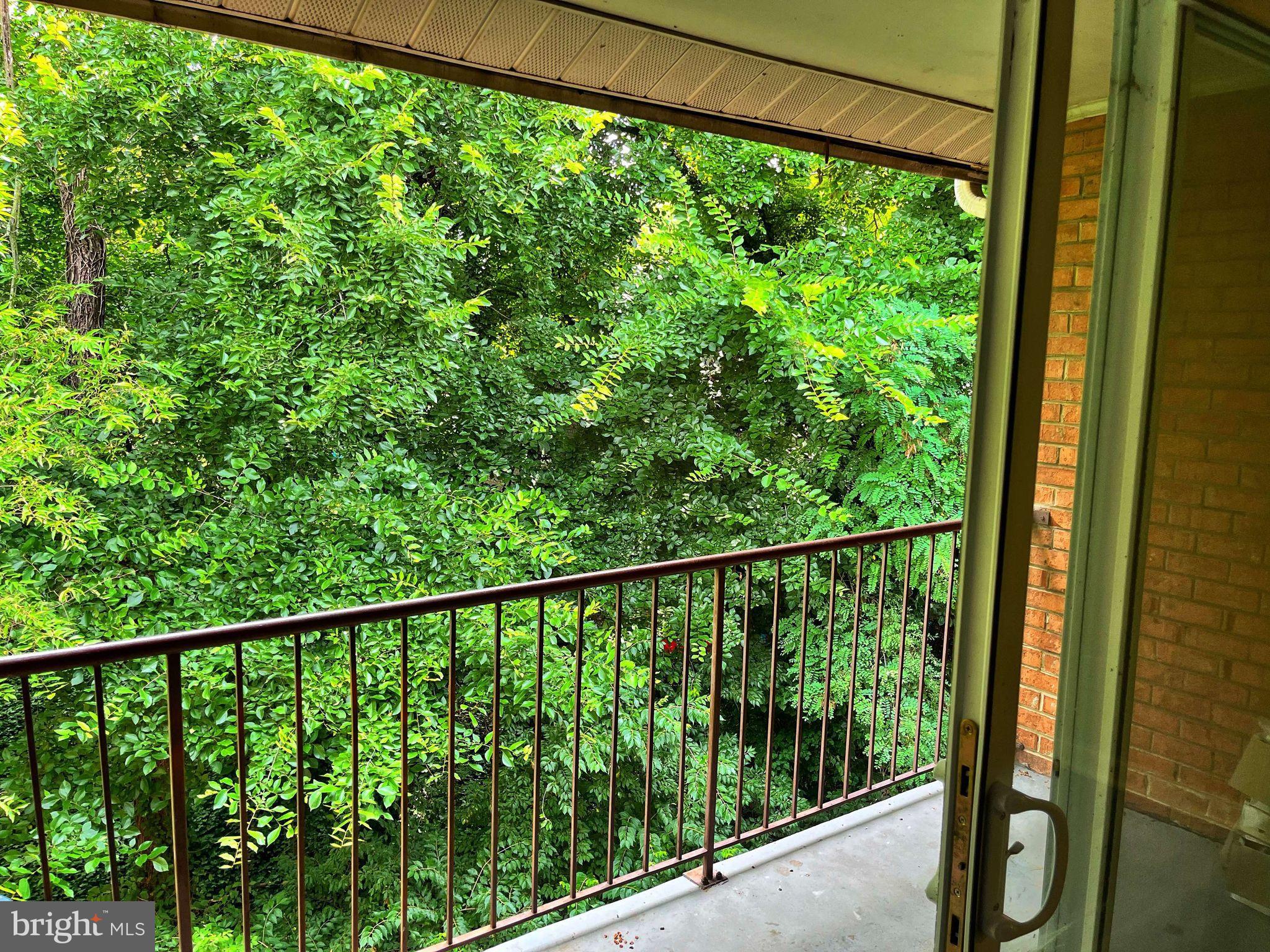 2656 Bowen Road Southeast, Unit 402 Washington, DC 20020 - Photo 4 of 10 a view of a balcony
