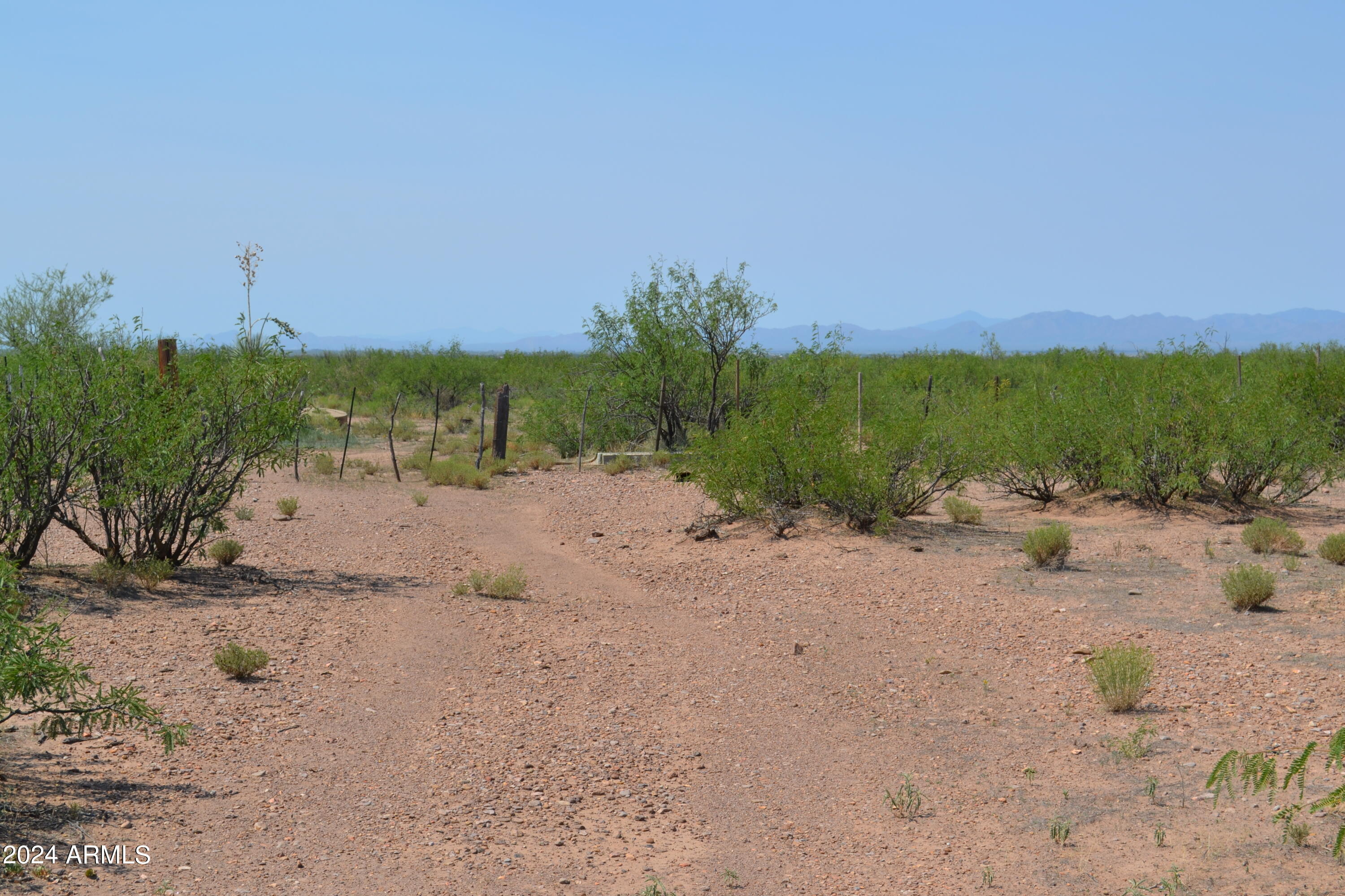 Tbd West Aqua Blanca Road Elfrida, AZ 85610 - Photo 13 of 32 a view of lake with palm trees