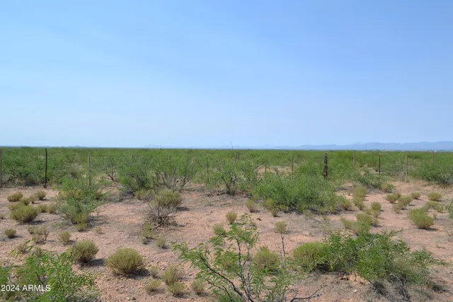 a view of a field with a mountain in the background