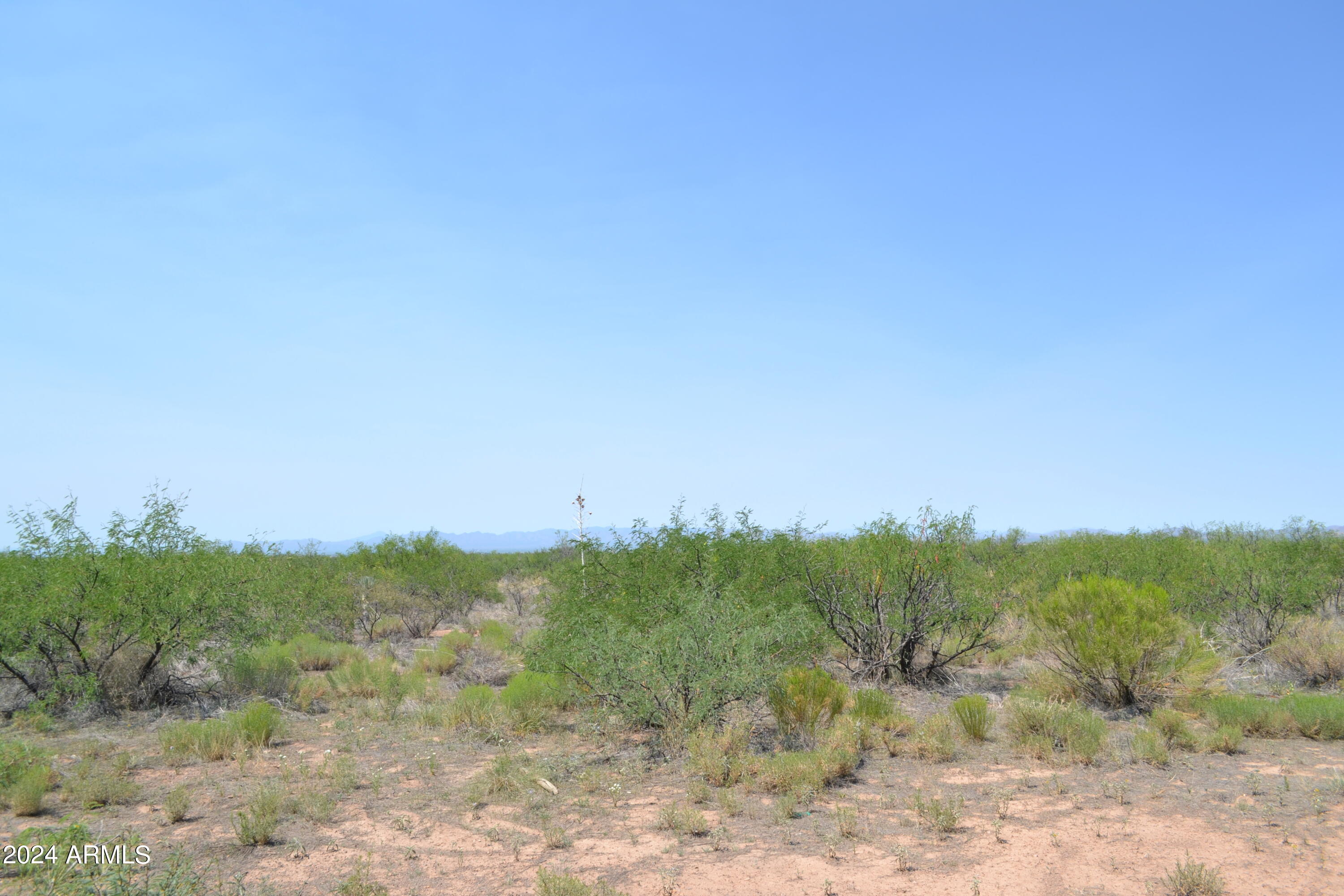 Tbd West Aqua Blanca Road Elfrida, AZ 85610 - Photo 20 of 32 a view of a field with a mountain in the background