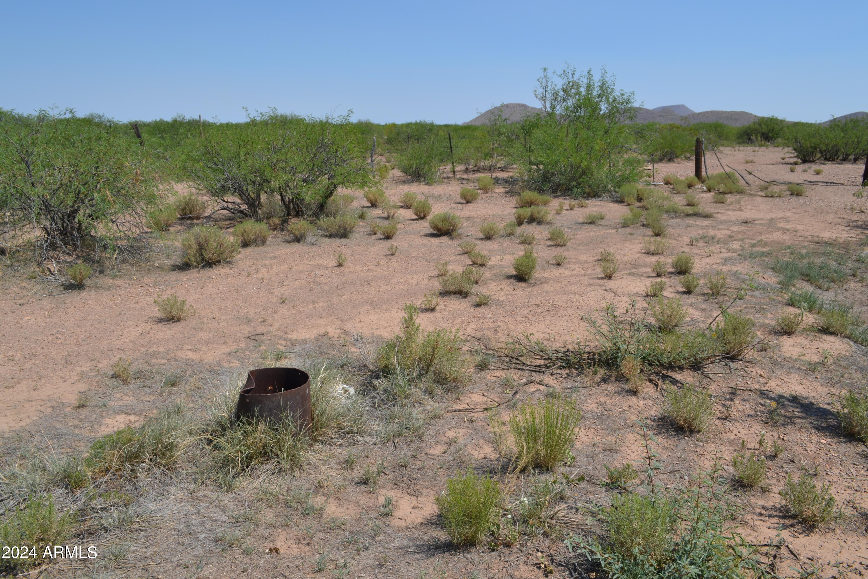 Tbd West Aqua Blanca Road Elfrida, AZ 85610 - Photo 9 of 32 a view of a yard with a tree