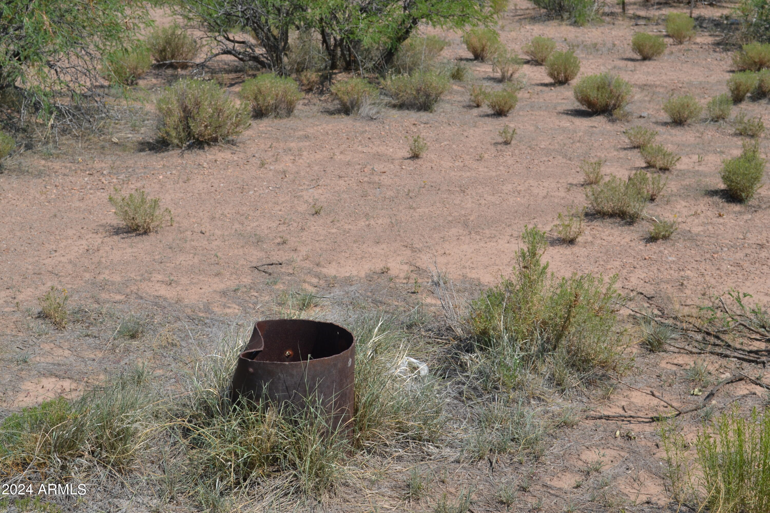 Tbd West Aqua Blanca Road Elfrida, AZ 85610 - Photo 10 of 32 a view of outdoor space and trees