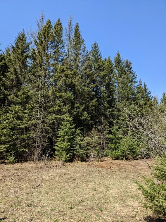 491 South Perley Brook Road Fort Kent, ME 04743 - Photo 34 of 37 land