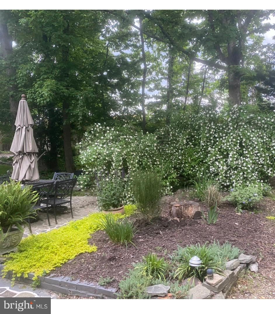 6102 Sherborn Lane Springfield, VA 22152 - Photo 41 of 51 a view of a swimming pool with a patio and plants