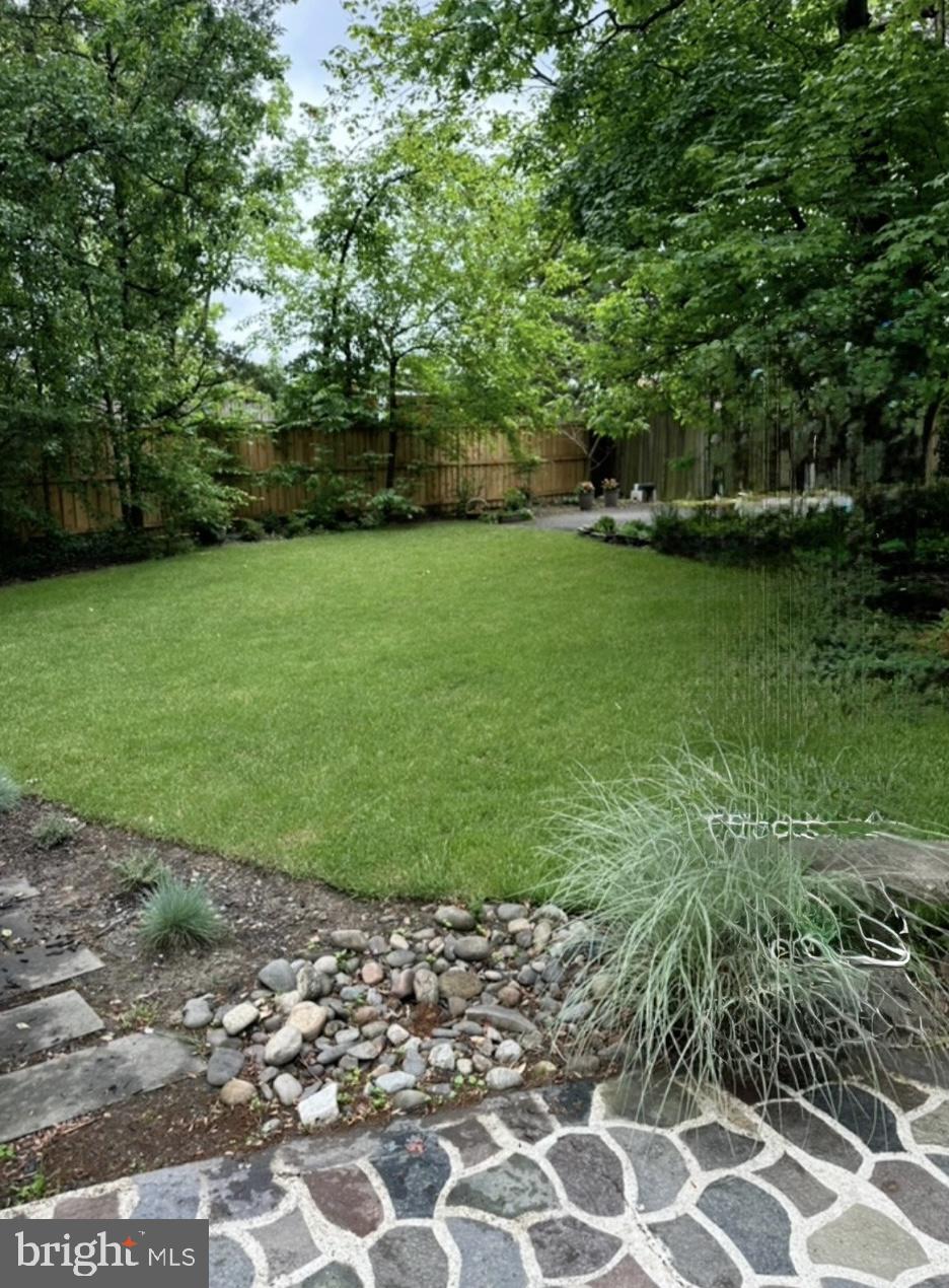 6102 Sherborn Lane Springfield, VA 22152 - Photo 42 of 51 a view of a garden with large trees