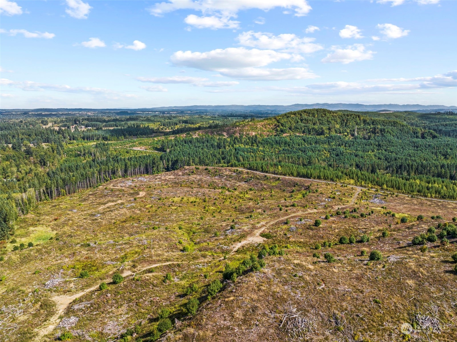 0 Salmon Creek Road Toledo, WA 98591 - Photo 3 of 17