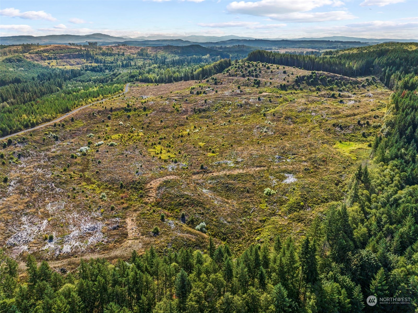 0 Salmon Creek Road Toledo, WA 98591 - Photo 4 of 17