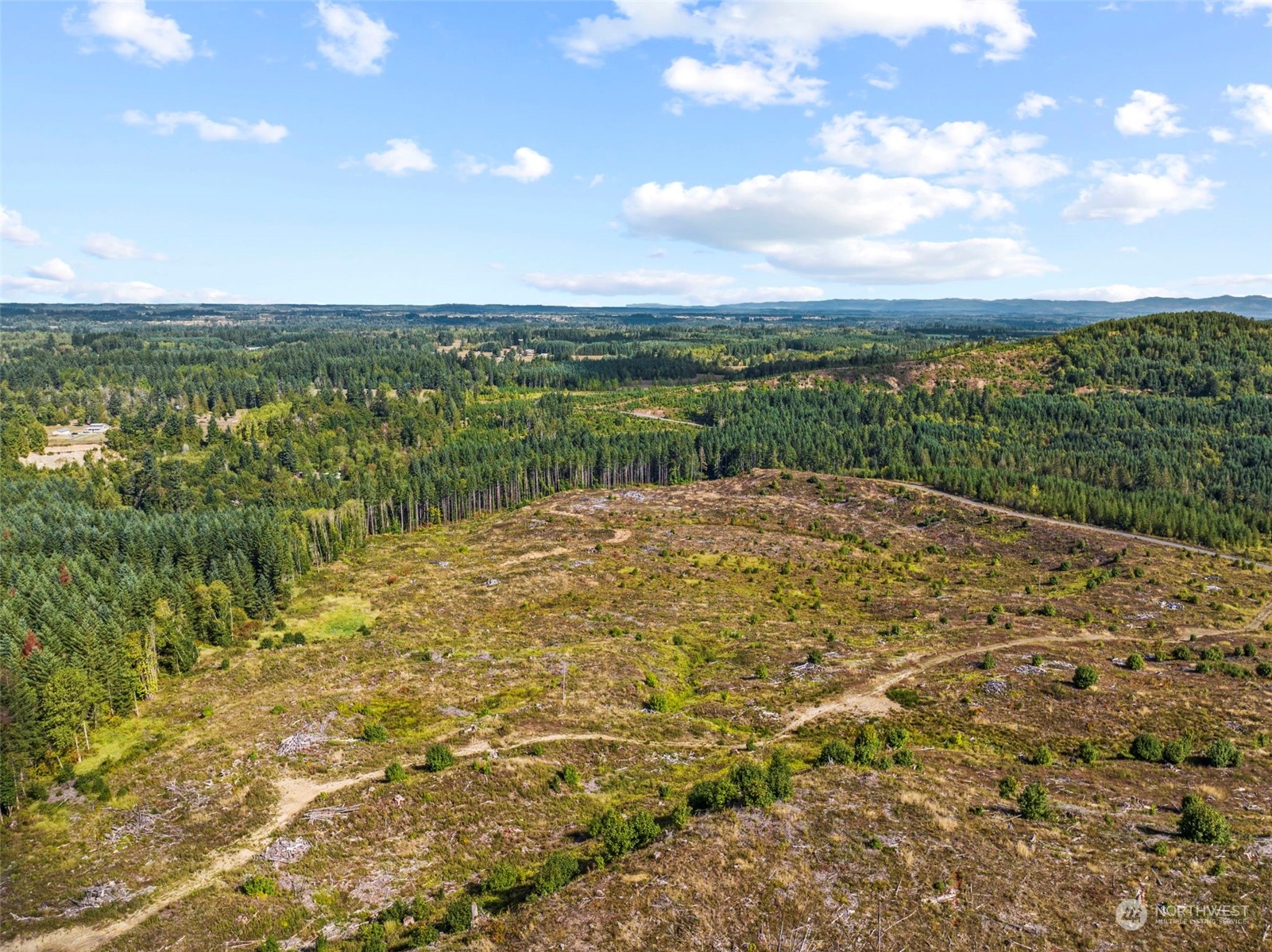 0 Salmon Creek Road Toledo, WA 98591 - Photo 5 of 17