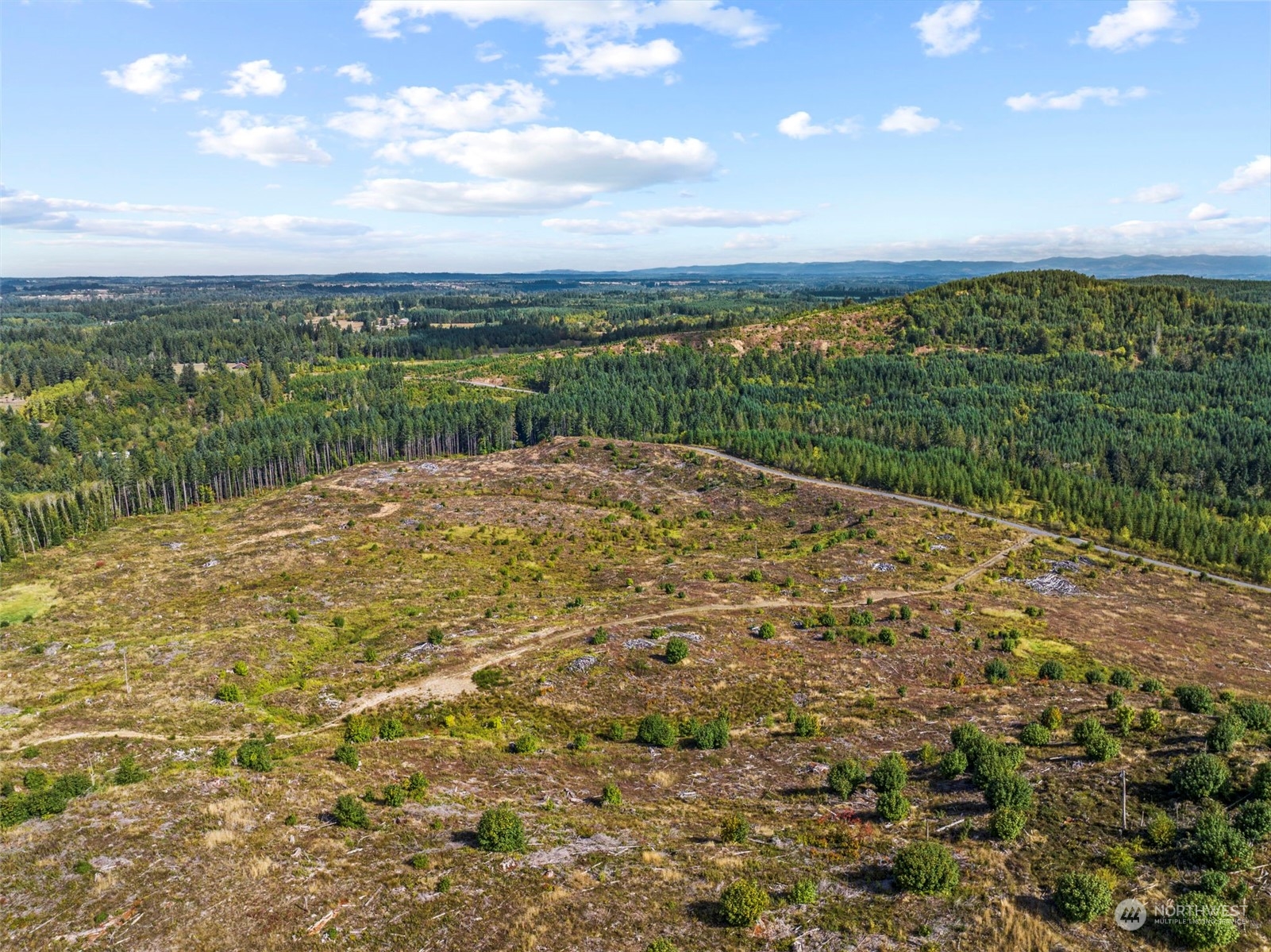 0 Salmon Creek Road Toledo, WA 98591 - Photo 6 of 17